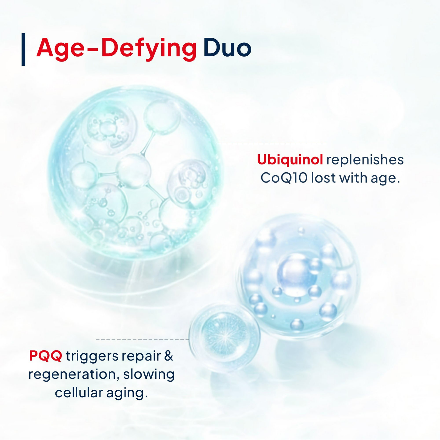 Miduty by Palak Notes Active CoQ10 + PQQ Capsules