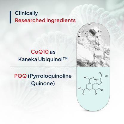 Miduty by Palak Notes Active CoQ10 + PQQ Capsules